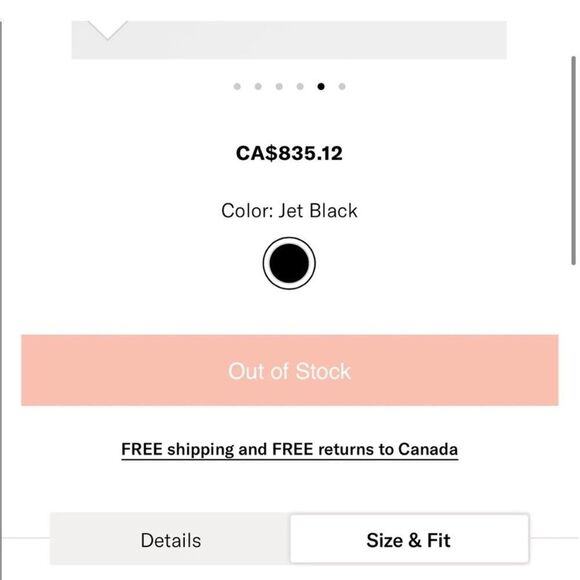 🇨🇦WANT LES ESSENTIELS mini valencia satchel - Picture 7 of 16